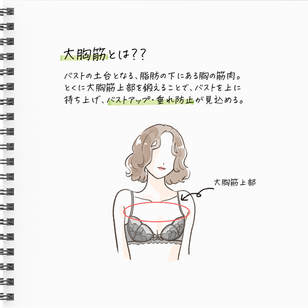 鍛える筋肉
