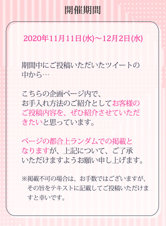 バスト24