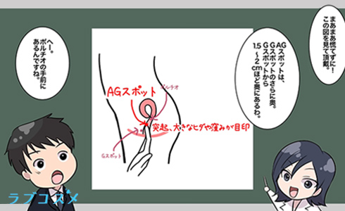 AGスポットがある場所はポルチオの手前