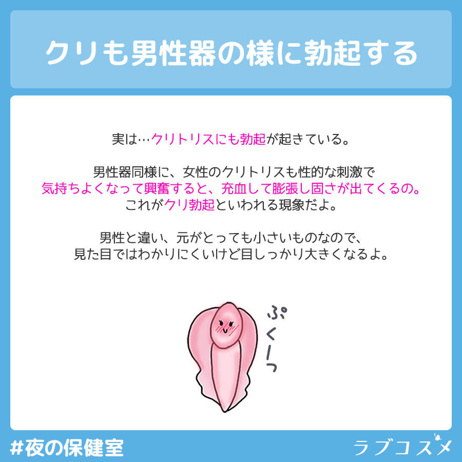 クリトリス勃起とは?