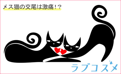 メス猫の交尾は激痛!?
