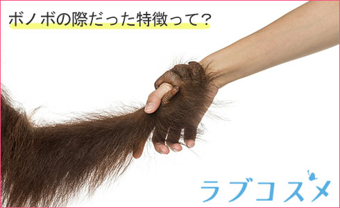 ボノボの際だった特徴って?