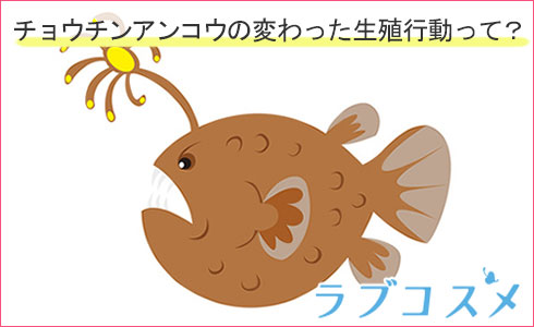 チョウチンアンコウの変わった生殖行動って?