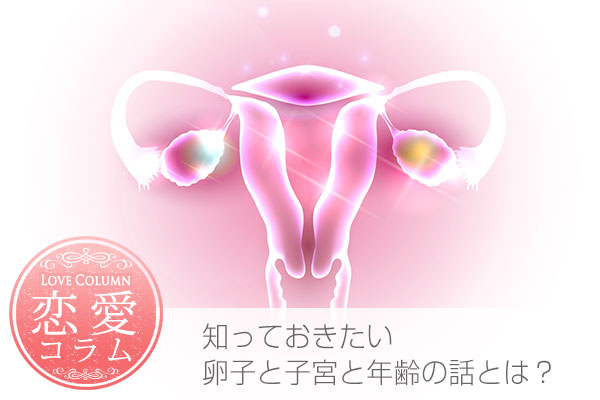 卵子と子宮の画像