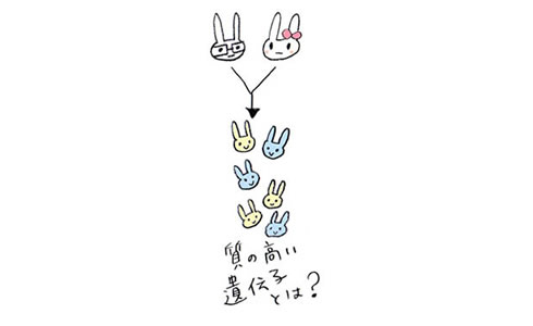 良い遺伝子とは?