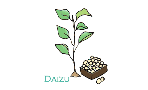きな粉のヒミツとは?