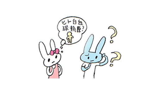 遺伝子と匂い