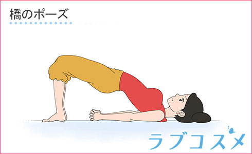 セツバンダ・アーサナのイラスト