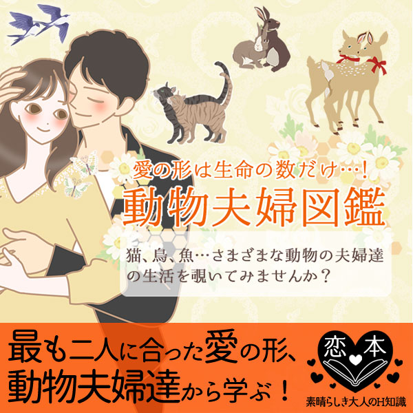 動物夫婦図鑑