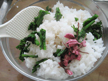 桜舞う季節に食べたい!春うららおにぎり/工程4