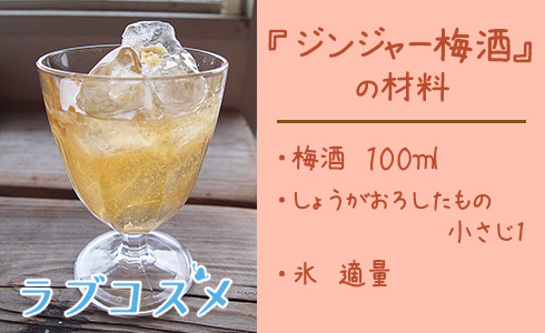 ジンジャー梅酒/材料