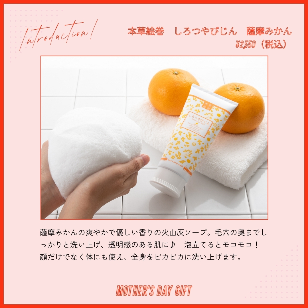 本草絵巻　しろつやびじん　薩摩みかん