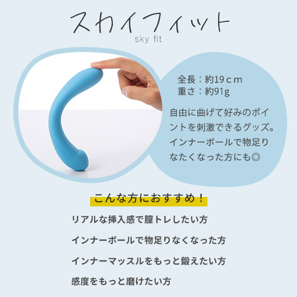 スカイフィット