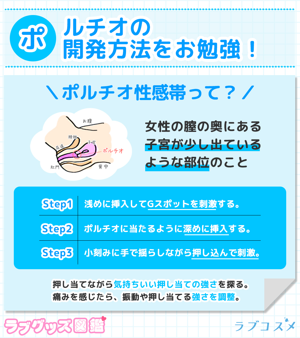 スカイジェリーフィッシュ図鑑2