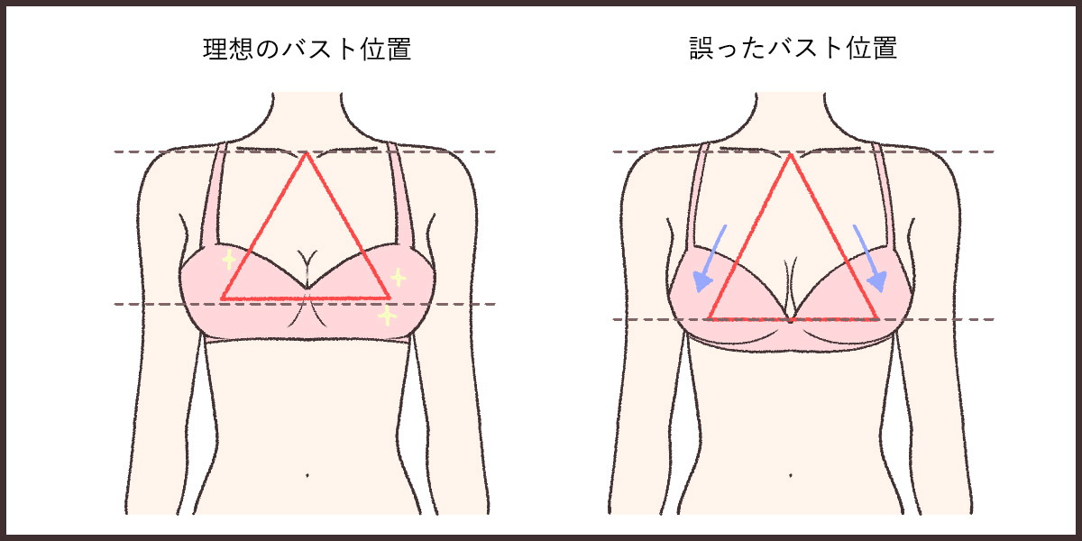 バストの正しい位置とは