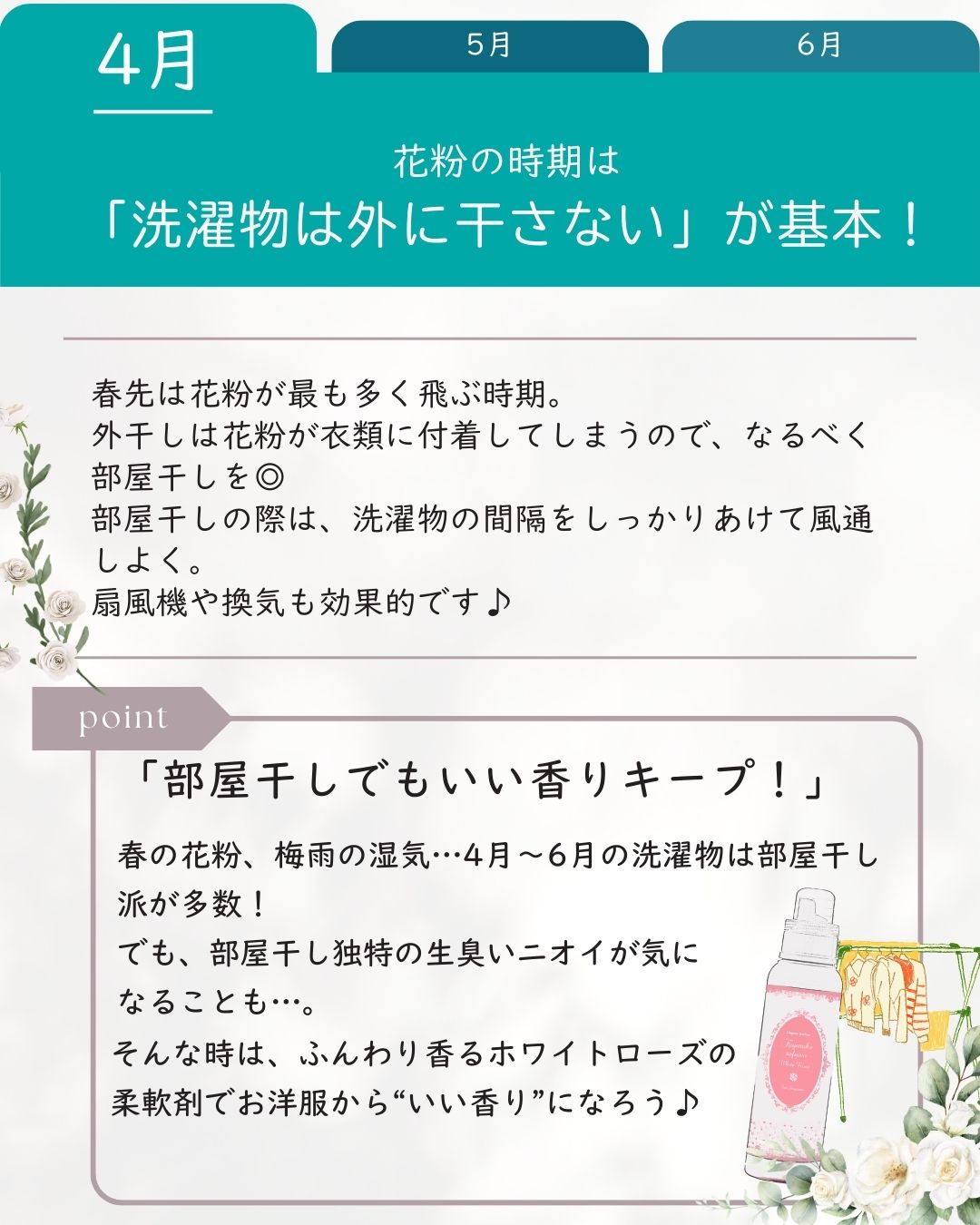 キヨラカソフワ　ホワイトローズ