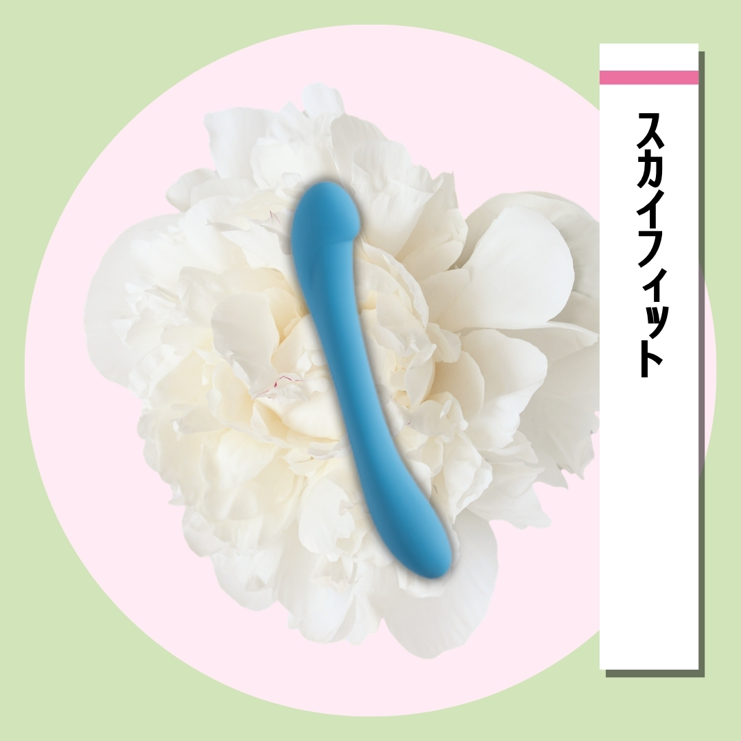 スカイフィット