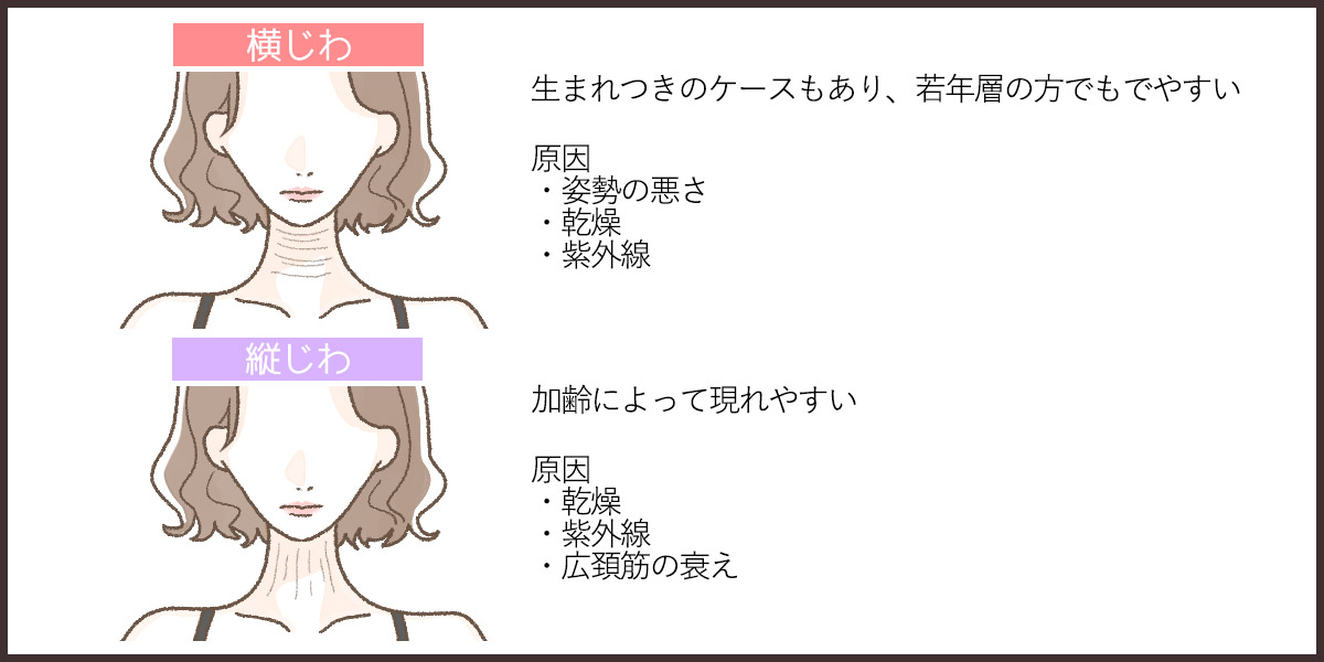 首の横じわと縦じわについて