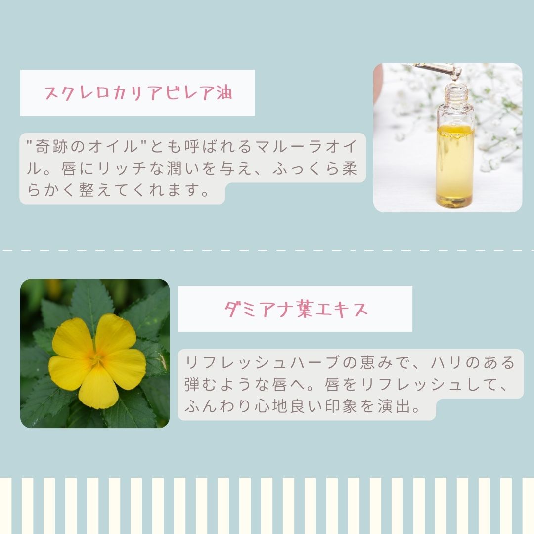 スクレロカリアビレア油_ダミアナ葉エキス
