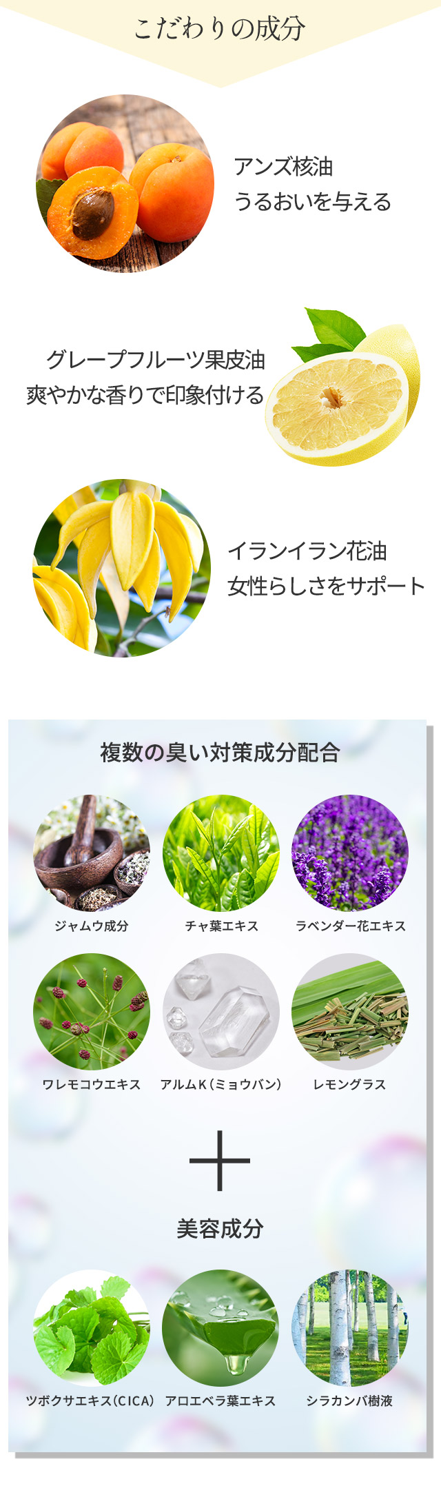 ヒラリインティメイトフォーム"